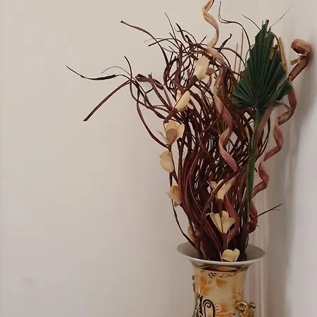 Affittacamere Julian