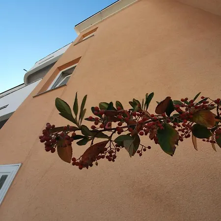 Julian Affittacamere 3*