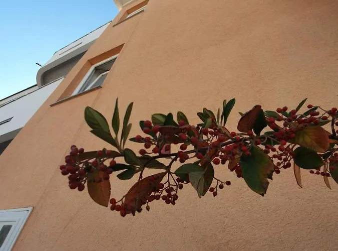 Julian Guest house 3*